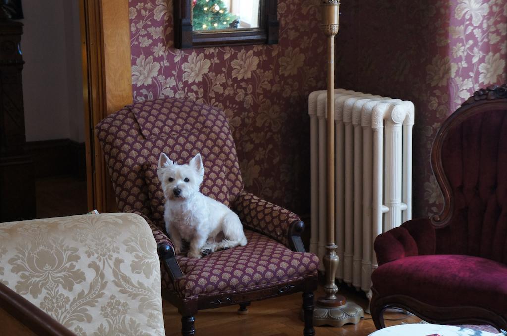 Maplecroft Bed & Breakfast Barre Екстериор снимка
